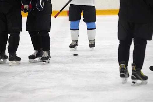 hockey players in action during a game