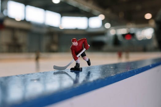 hockey rink with fans cheering