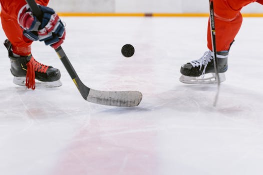 hockey players in a tense faceoff situation