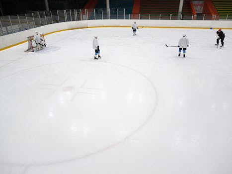 hockey players in action