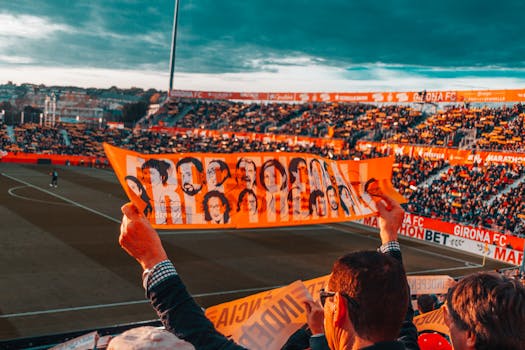 fans cheering during a game